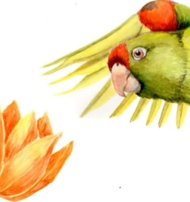 Detalle10