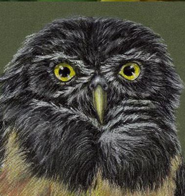 Detalle14