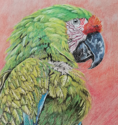 Detalle44