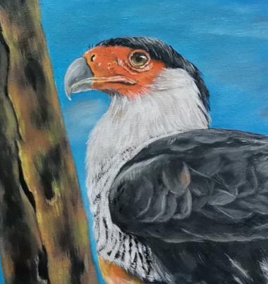 Detalle8