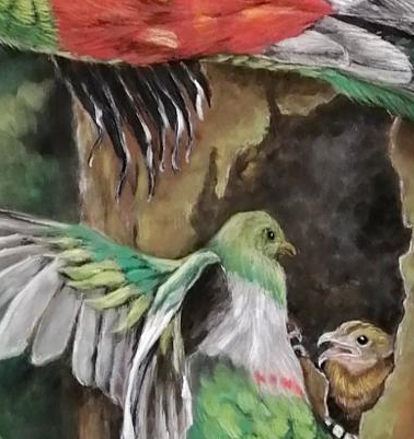 Detalle9